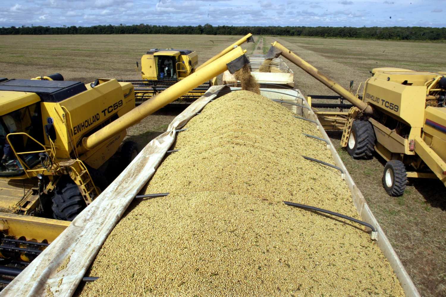 Planta industrial moderna de processamento de soja